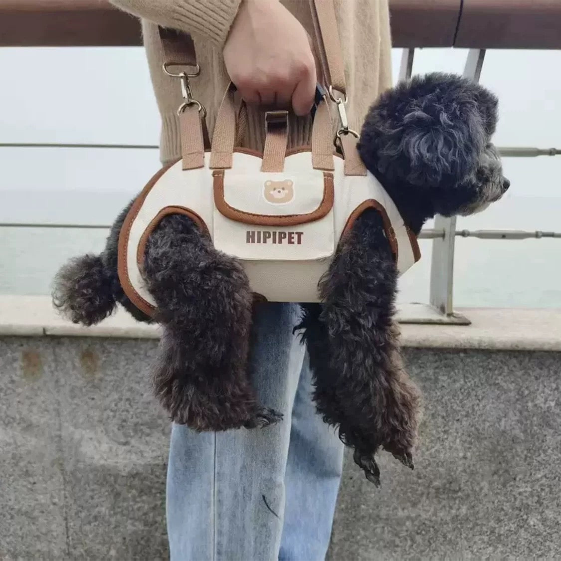 Pet carrier shoulder bag