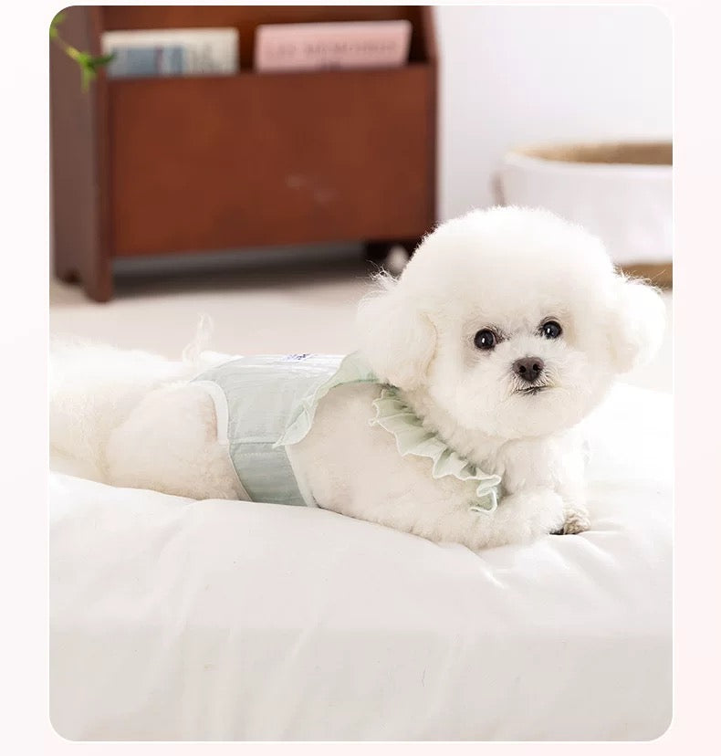 Dog physiological pants + Pads