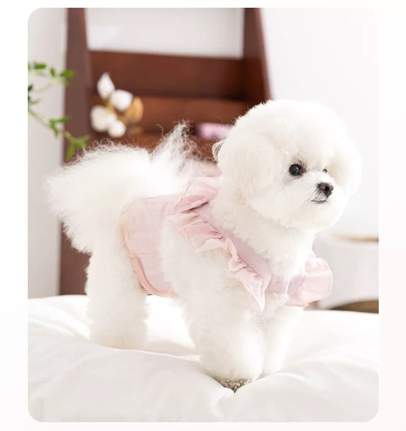 Dog physiological pants + Pads
