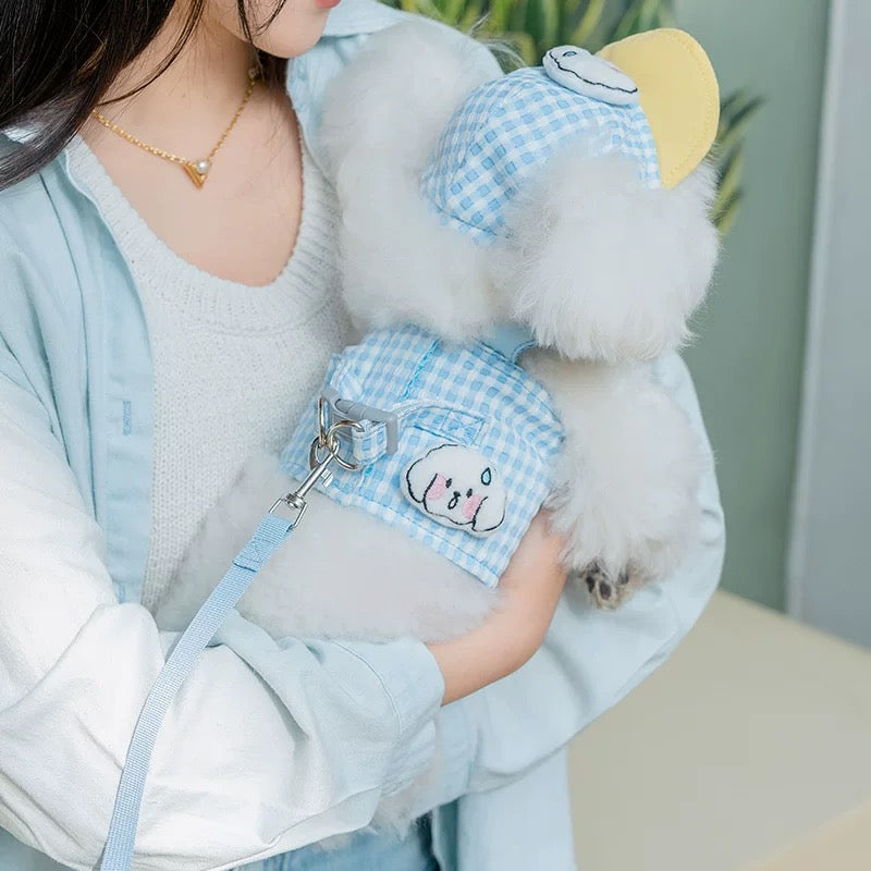 Cute pet harness with hat